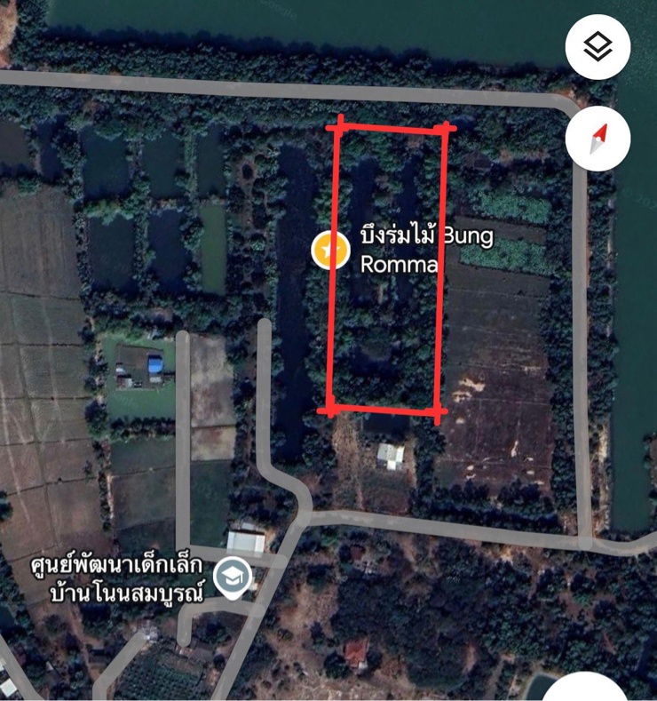 picture 🌳 Land for Sale –Serene and Shady with Natural Surroundings - 7/7