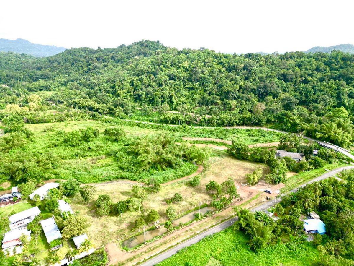 picture Beautiful land plot400sq m,minimalist detached house,2 bedrooms66 sq m,lots of trees,reservation fee 9,000 baht,if not approved,refund, - 9/10
