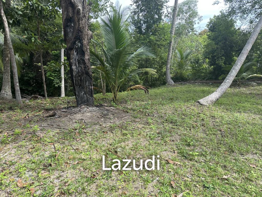 picture Stunning 1.5 rai plot for Rent - 6/9