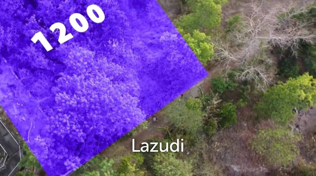 รูป 1200 SQM Land Plot with Sea View in Maenam Soi 2 - รูปที่ 4/4