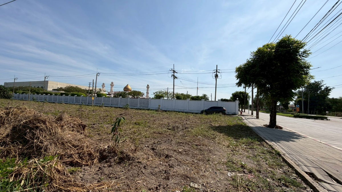 รูป ขาย ที่ดิน 1 ไร่ ไมตรีจิต 13 ถ.นิมิตรใหม่ คลองสามวา - รูปที่ 2/10