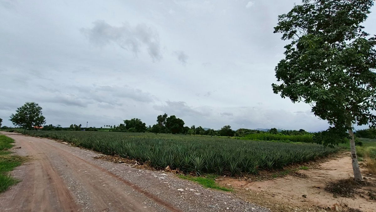 picture Lands for sale in Hua-hin 1.4 m. baht per rai - 3/13