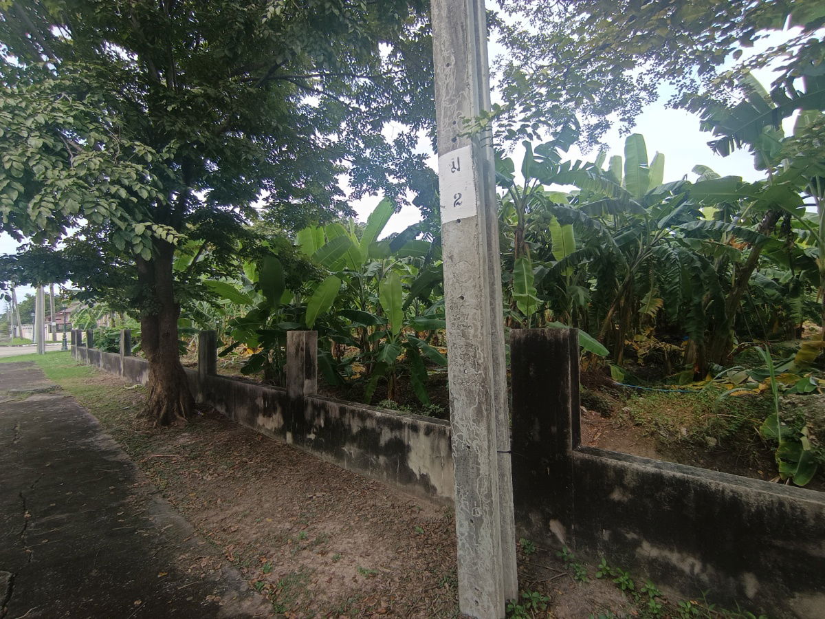 รูป ขายที่ดิน หมู่บ้านปัญญา P4 ถนนปัญญาอินทรา พระยาสุเรนทร์ กทม - รูปที่ 11/23