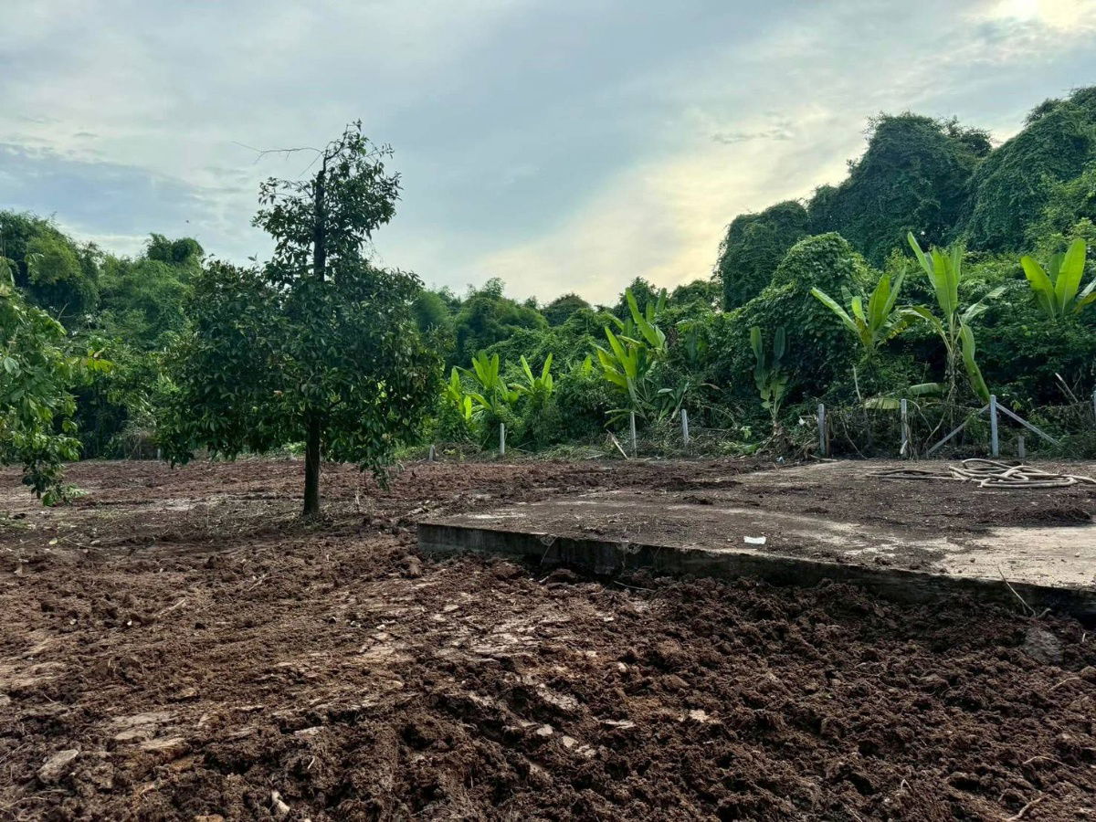 picture Urgent sale need money,reduced by almost2 million almost2rai of land next to the river5.9 millionnow 4.5 million100 meter concrete road,  - 11/21