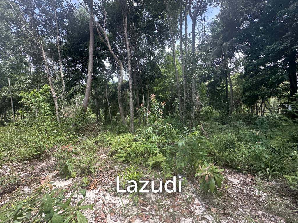 รูป Excellent Investment in Coconutland - รูปที่ 4/5