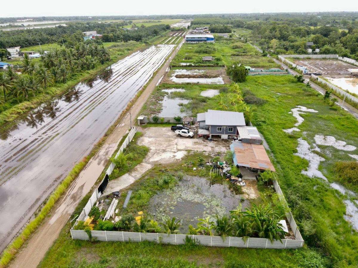 picture 1 rai of land with house, Soi 8, Nong Suea, Pathum Thani, single-family house, raised floor, 2950000 baht, title deed ready for transfer, gate - 20/24