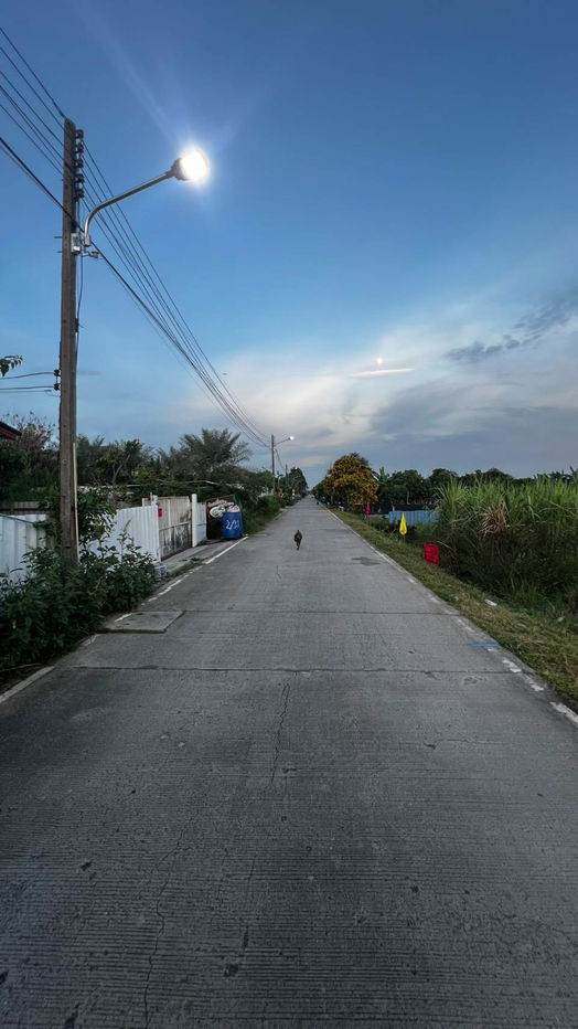 picture Land for sale, Khlong 3, Khlong Luang, Pathum Thani, 100 sq m, 990,000 baht, beautiful plot, good location, concrete road, water, 3-phase electricity, - 17/24