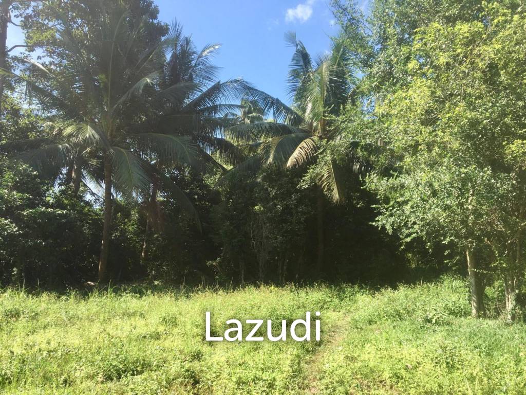 รูป Hot Price! Prime Mae Nam Land 813.2 sqm near Elephant Sanctuary - รูปที่ 4/5