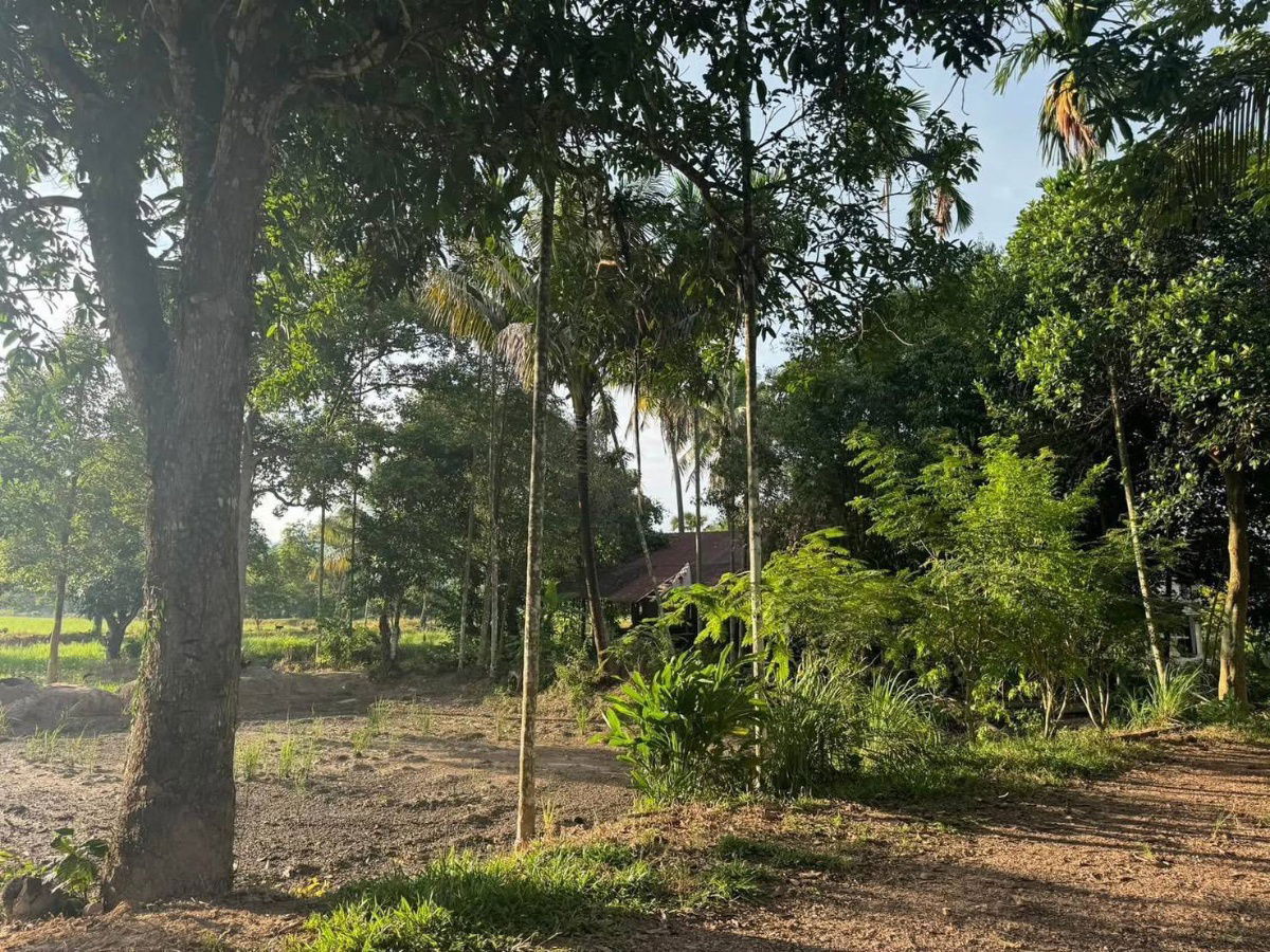 picture Khao PhraMueang Nakhon Nayok District beautiful land with mountain views1.8million baht plot near Huai Pru Reservoir Sai ThongReservoirKhlong - 21/30
