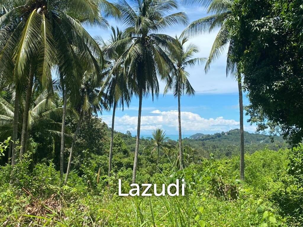 รูป Seaside Sanctuary: 6,800 Sqm of Paradise with Road Access and Electricity in South Samui - รูปที่ 5/6