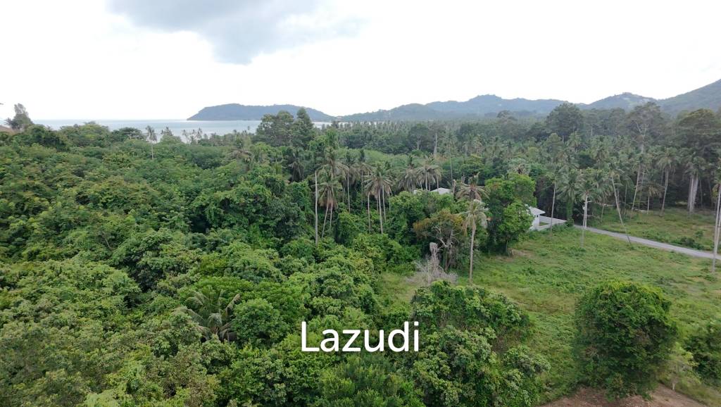 picture 924SQM Flat Plot - 2-mins Walk to the Beach in Laem Sor! - 3/8