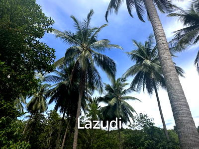 Land for rent Surat Thani : Stunning 1.5 rai plot for Rent