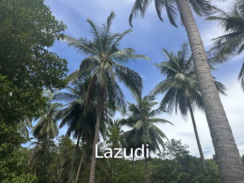 Stunning 1.5 rai plot for Rent