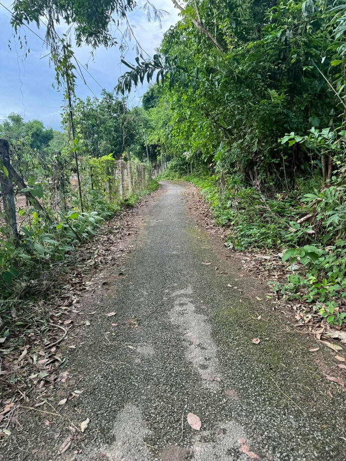 picture Urgent sale need money,reduced by almost2 million almost2rai of land next to the river5.9 millionnow 4.5 million100 meter concrete road,  - 8/21