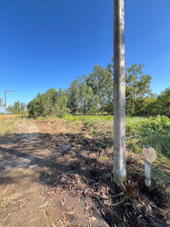 picture Very cheap, 2 plots Khlong 11 Nong SueaPathum Thani100 sq m260,000 bahtnear Nong Suea Hospital5kmdistrict office5 km,electricity,water300 m - 6/12