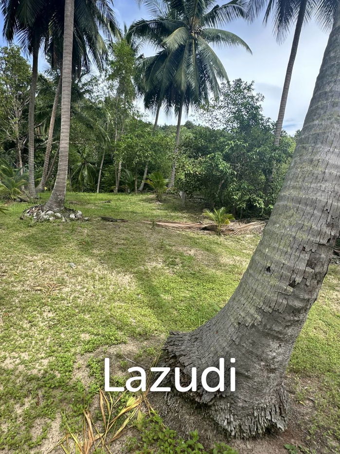 picture Stunning 1.5 rai plot for Rent - 4/9