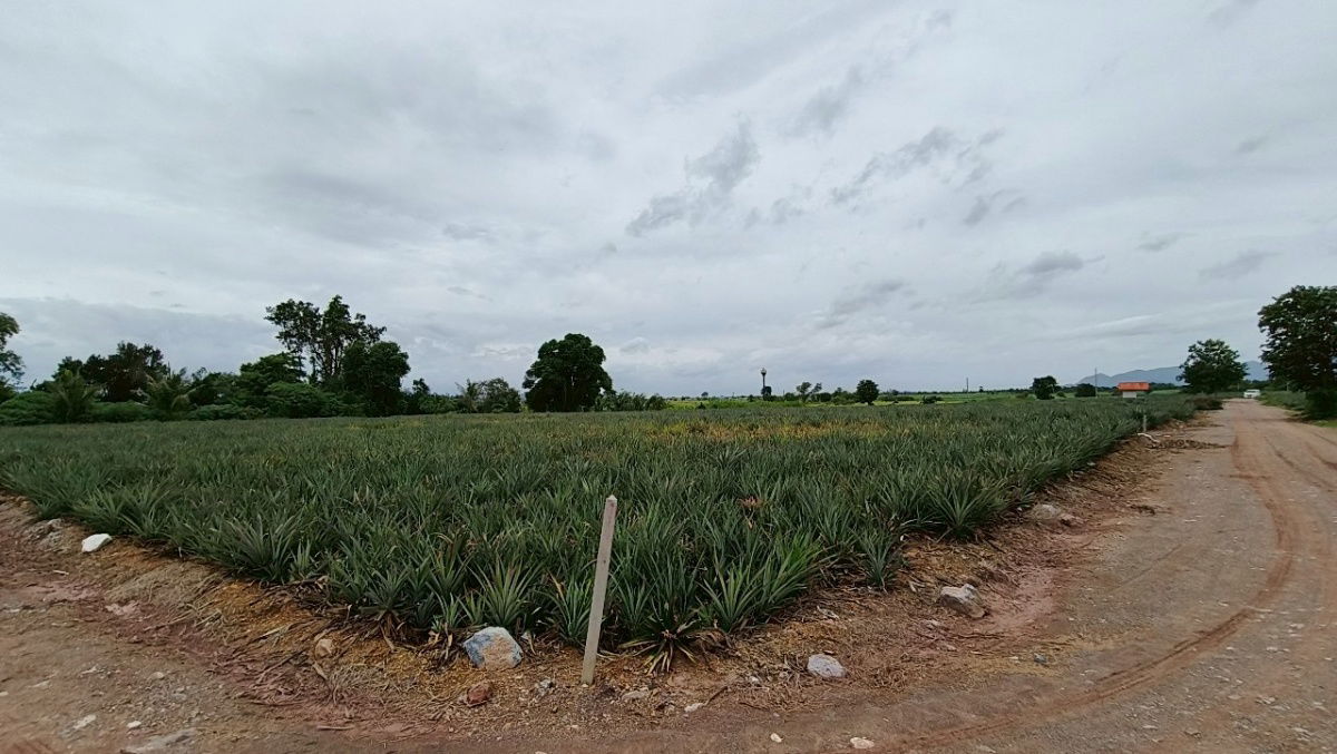 picture Lands for sale in Hua-hin 1.4 m. baht per rai - 10/13