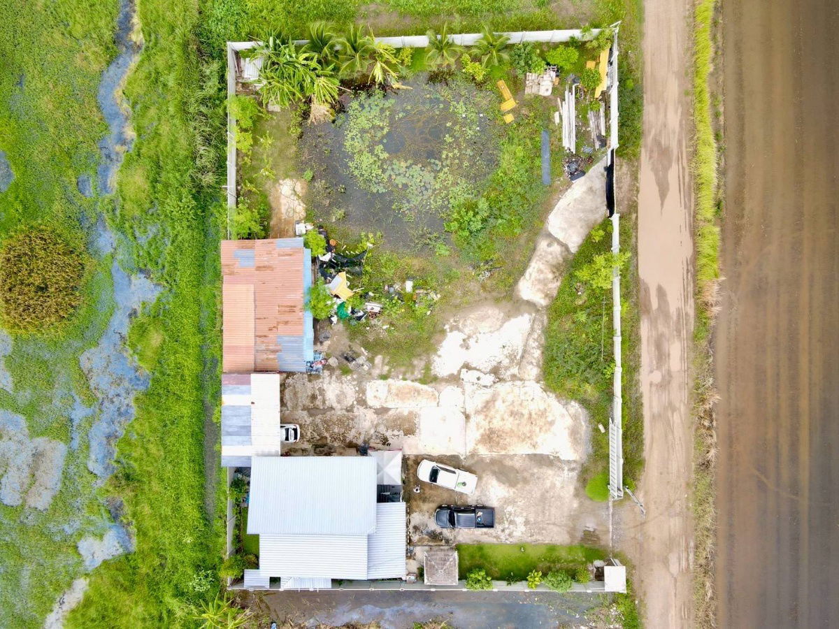 picture 1 rai of land with house, Soi 8, Nong Suea, Pathum Thani, single-family house, raised floor, 2950000 baht, title deed ready for transfer, gate - 5/24