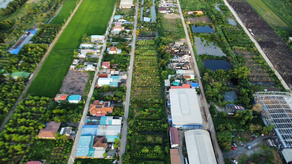 picture Land for sale, Khlong 3, Khlong Luang, Pathum Thani, 100 sq m, 990,000 baht, beautiful plot, good location, concrete road, water, 3-phase electricity, - 10/24