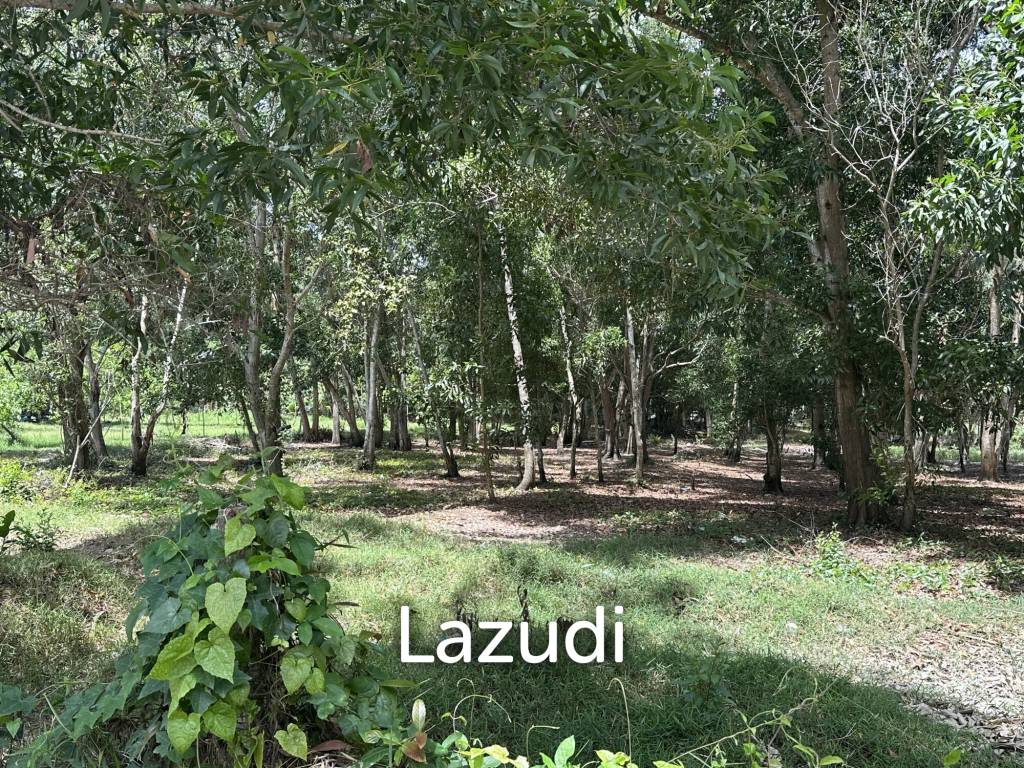 รูป Land 1 Rai In Madewan - รูปที่ 5/11