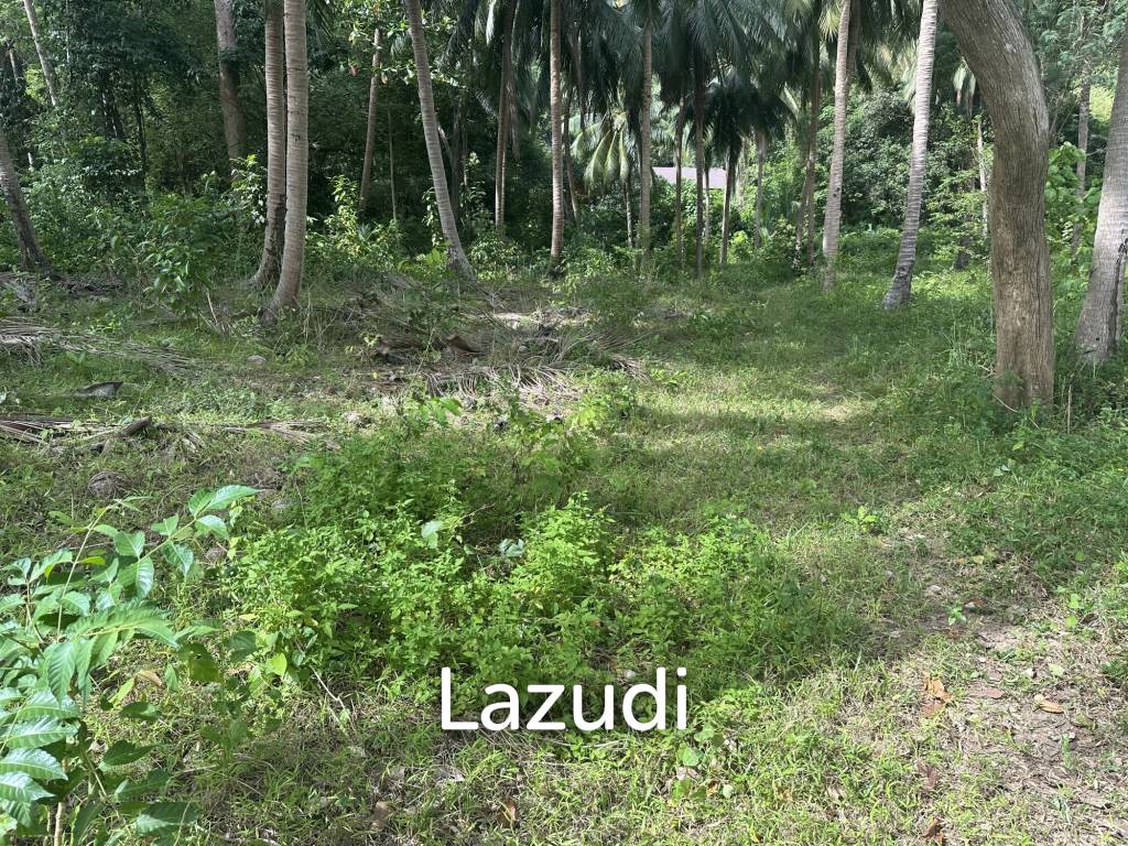 รูป Beautiful 3 rai plot for sale, located in a quiet jungle setting - รูปที่ 10/10