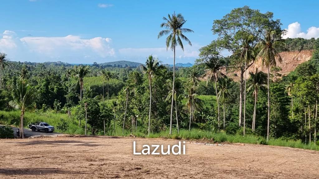 รูป Flat Land 400 SQM for Sale in Maenam Soi 3 - รูปที่ 2/4