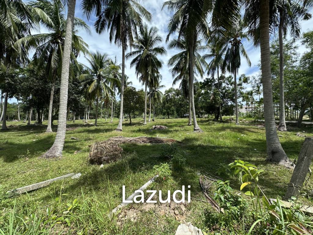 รูป Land 1 Rai In Madewan - รูปที่ 11/11