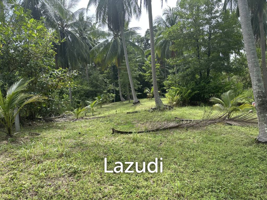 picture Stunning 1.5 rai plot for Rent - 8/9