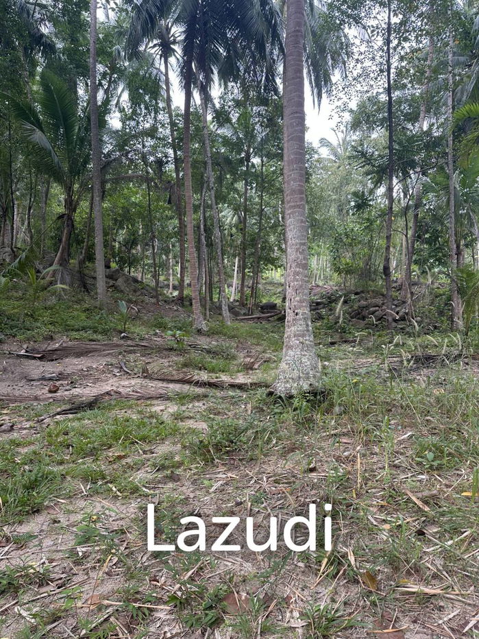 รูป 2 Rai Strategically Located Just 2 Minutes from Chaloklum - รูปที่ 5/5