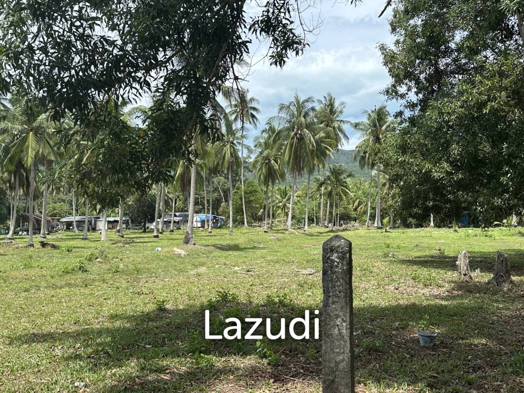 รูป Land 1 Rai In Madewan - รูปที่ 4/11