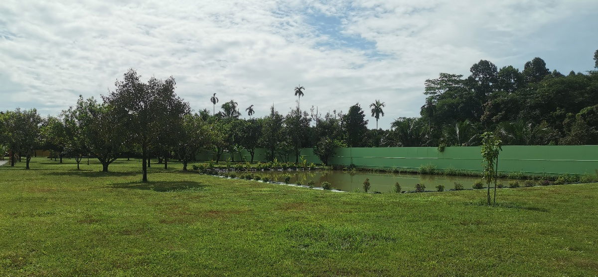 รูป ขายด่วน!!! บ้านเดี่ยว บ้านสวนพร้อมสวนสวยและผลไม้ออร์แกนิค ใกล้ถนนสุขุมวิท เนื้อที่กว้าง - รูปที่ 16/16