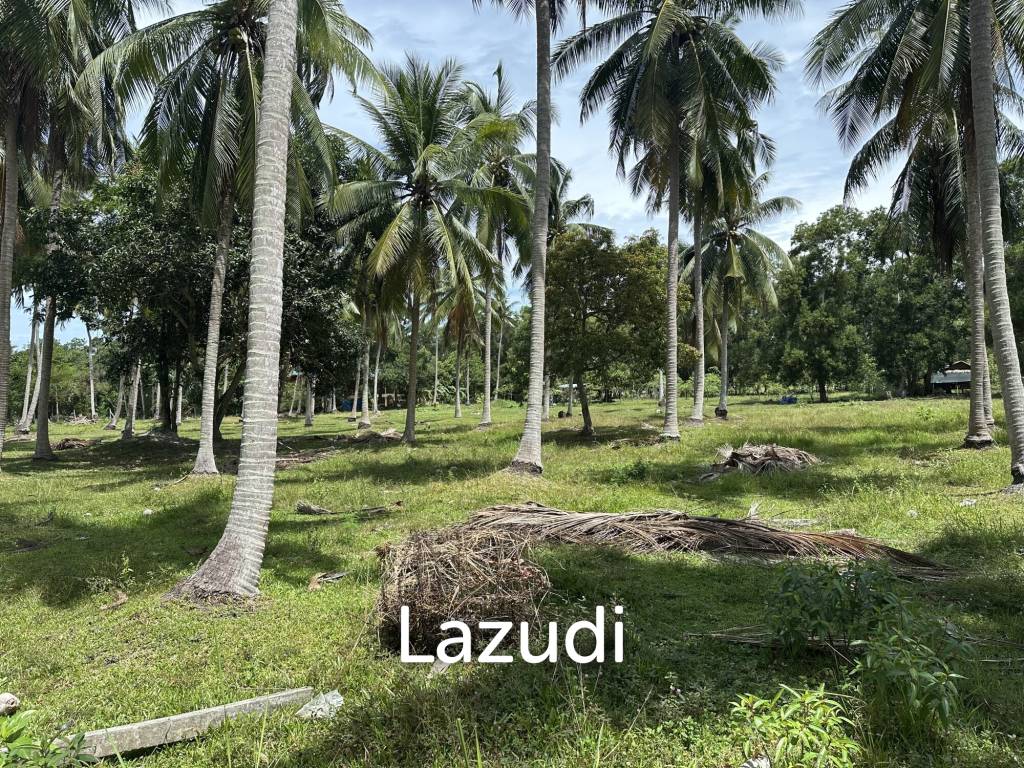 รูป Land 1 Rai In Madewan - รูปที่ 10/11