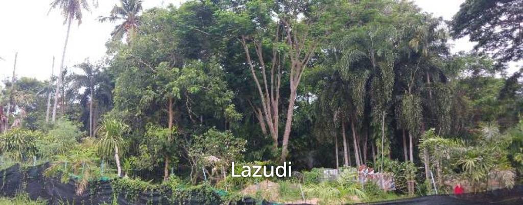 รูป ที่ดินเปล่าเนื้อที่ 1166 ตร.ม. ในตำบลหนองปรือ อ.บางละมุง จ.ชลบุรี - รูปที่ 5/8