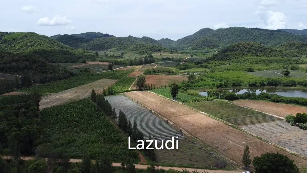 picture Expansive Freehold Land 24-3-26 Rai in Nong Phlap Hua Hin - 8/8