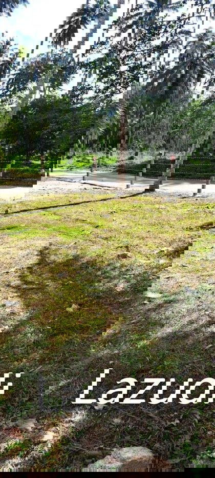 รูป Prime Land Plot 500 SQ.M in Maret Koh Samui - รูปที่ 2/9