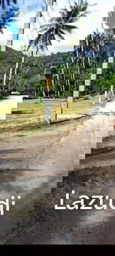 Prime Land Plot 500 SQ.M in Maret Koh Samui