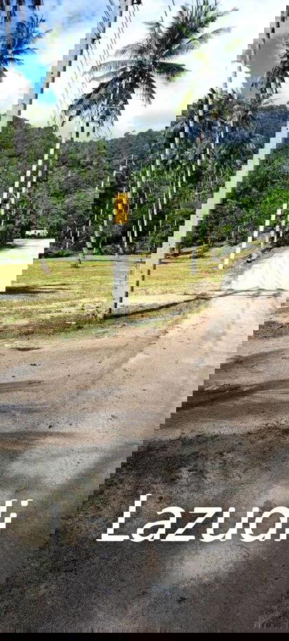 รูป Prime Land Plot 500 SQ.M in Maret Koh Samui - รูปที่ 1/9