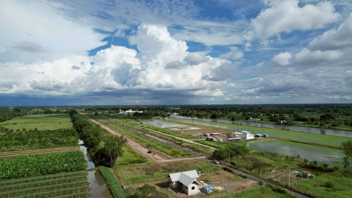 picture Baan Suan Kasem Khlong 9, Bueng Bon 15/1, 3-phase electricity, water,concrete road,8 m2 100 sq m3.9 baht from Rangsit-Nakhon Nayok Road6.5 gm - 3/15