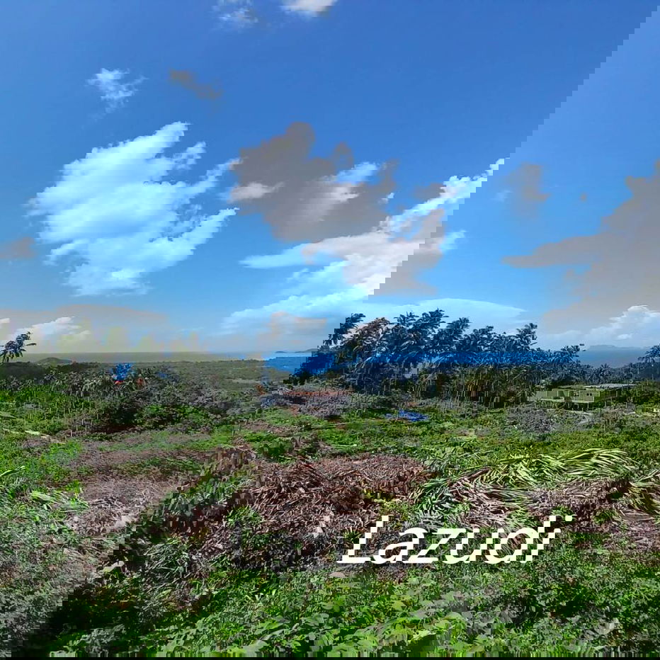 รูป Sunset View Land with Ang Thong Marine Park Vista in Southwest Koh Samui - รูปที่ 4/5