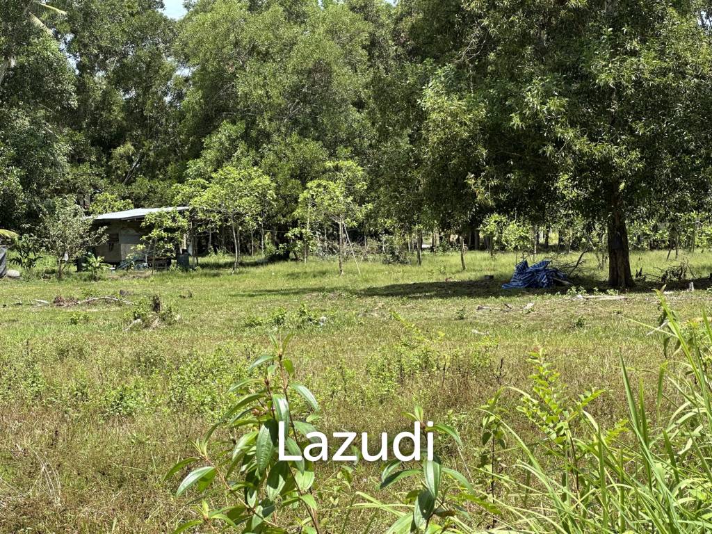 รูป Land 1 Rai In Madewan - รูปที่ 9/11