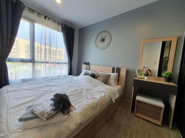 picture AS1762 Reach Phahon Yothin 52 Condo for rent - 1/5