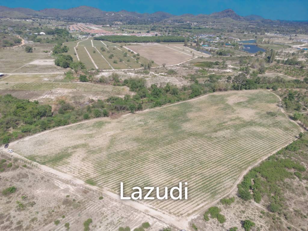 รูป Land 21 Rai Soi 112 - รูปที่ 6/9