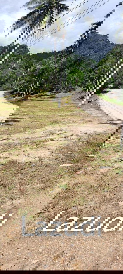 รูป Prime Land Plot 500 SQ.M in Maret Koh Samui - รูปที่ 7/9