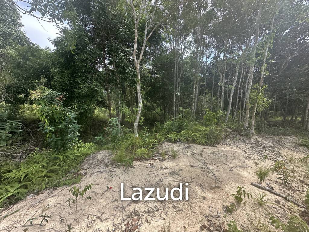 รูป Excellent Investment in Coconutland - รูปที่ 2/5