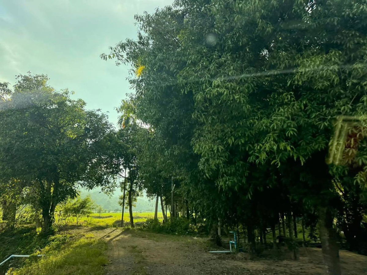 picture Khao PhraMueang Nakhon Nayok District beautiful land with mountain views1.8million baht plot near Huai Pru Reservoir Sai ThongReservoirKhlong - 13/30