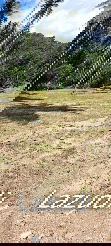 รูป Prime 400 SQ.M Land Plot in Maret, Ko Samui - รูปที่ 2/8