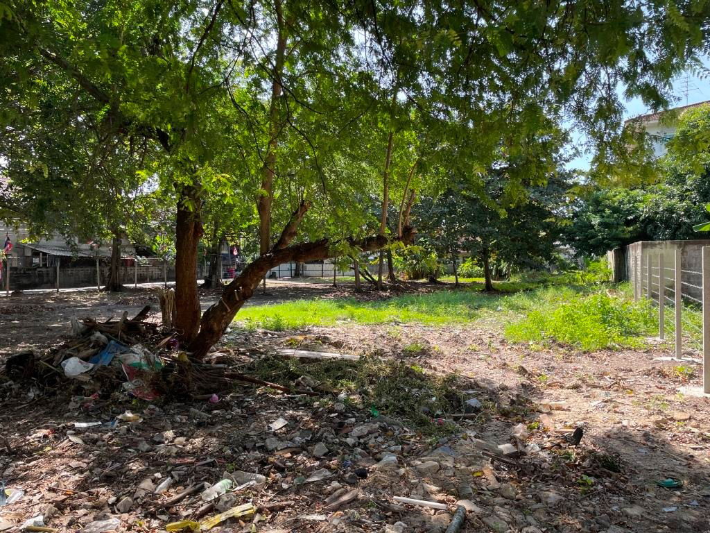 picture Vacant Land on Suan Phak 43 Corner of Soi Assavapichet 2 size about 446.7 sq wah Size about 28m x 64 m - 8/15