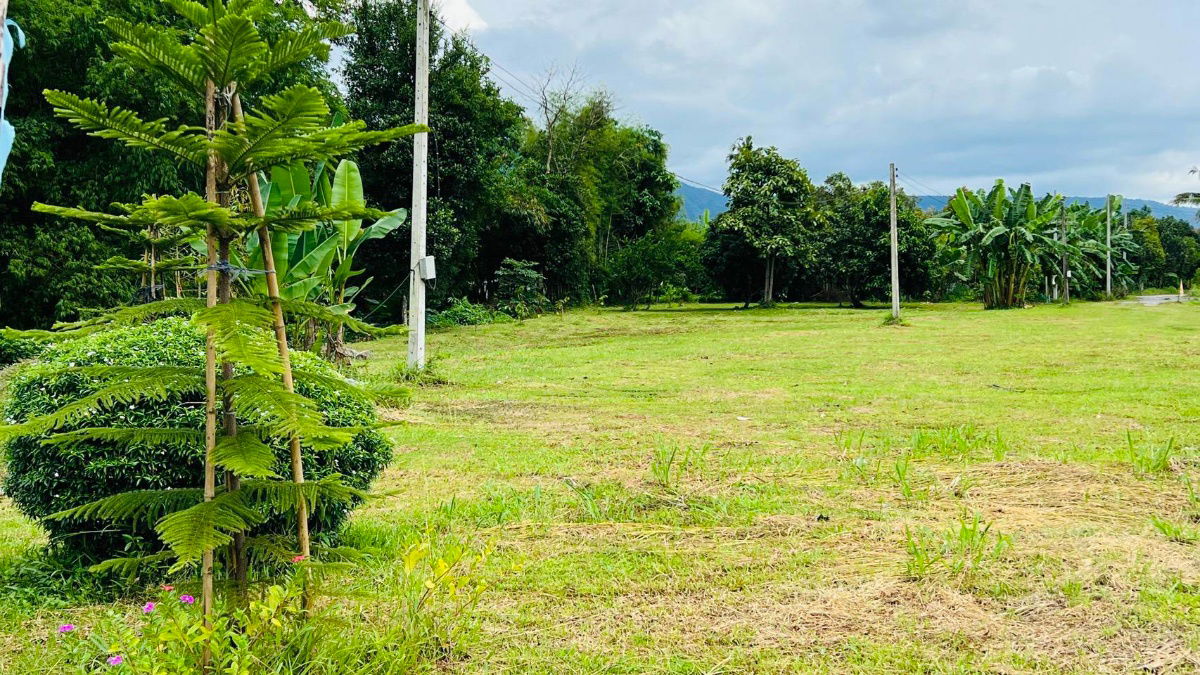 รูป 1ไร่1งาน52ตรว2200000ต.นาหินลาดอ.ปากพลีนครนายกมีเพื่อนบ้านติดน้ำไฟน้ำพร้อมดิเดิมสมบูรณ์ปลูกผลไม้ได้มีทุเรียนมะม่วงลำใยบางส่วนหม้อแปลงติดถนนโฉนดครุฑแดง - รูปที่ 13/14