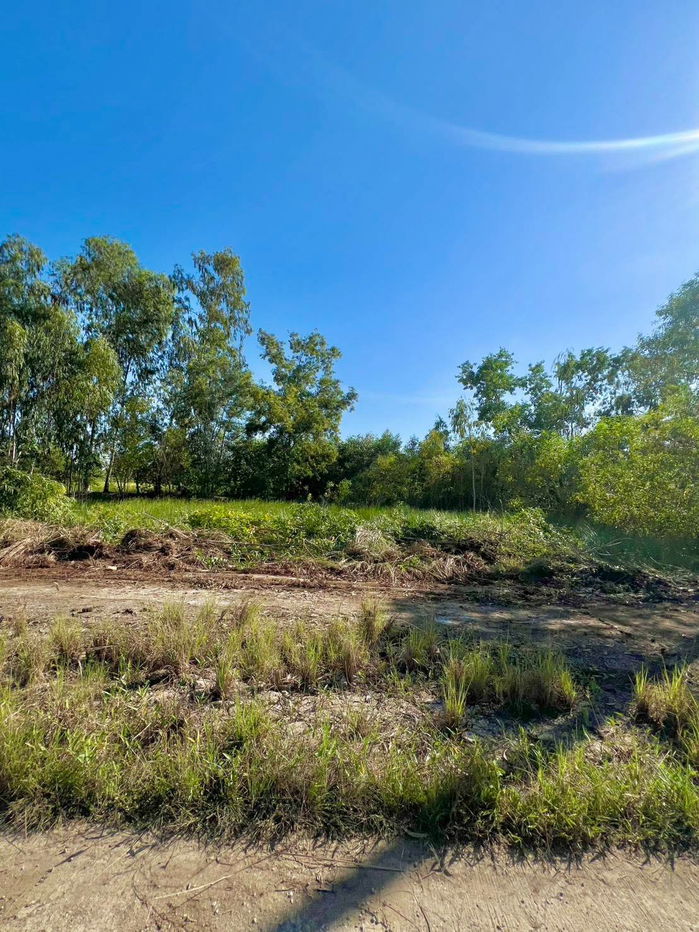 picture Very cheap, 2 plots Khlong 11 Nong SueaPathum Thani100 sq m260,000 bahtnear Nong Suea Hospital5kmdistrict office5 km,electricity,water300 m - 3/12