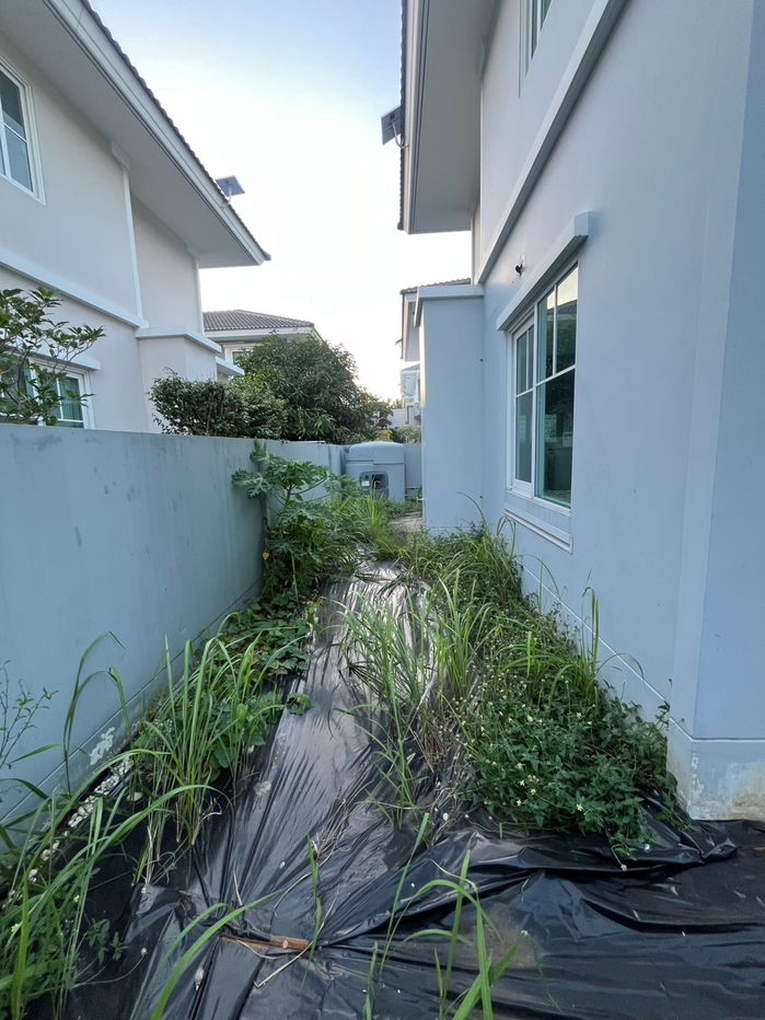 รูป บ้านเดี่ยว 2 ชั้น โครงการ วิลลาจจิโอ ปิ่นเกล้า-ศาลายา (หน้าสวน) ถนนอัจฉริยะพัฒนา 2 ต.ศาลากลาง อ.บางกรวย จ.นนทบุรี (ราคา 4,446,000 บาท ) - รูปที่ 17/44